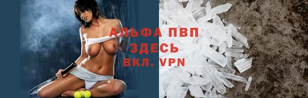 ГАЛЛЮЦИНОГЕННЫЕ ГРИБЫ Новосибирск
