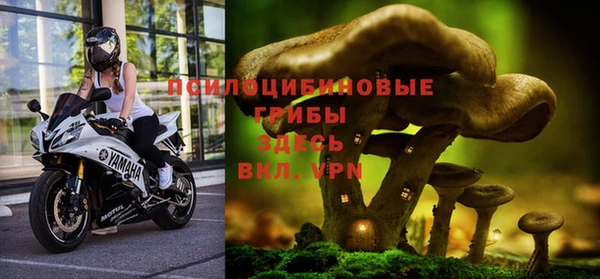 mix Ессентукская