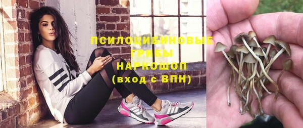 ГАЛЛЮЦИНОГЕННЫЕ ГРИБЫ Новосибирск