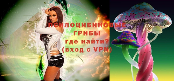 ГАЛЛЮЦИНОГЕННЫЕ ГРИБЫ Новосибирск