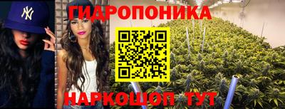 mdpv Аргун