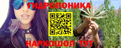 соль ск Аргун