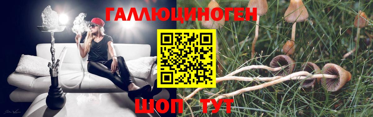 Галлюциногенные грибы ЛСД Апшеронск