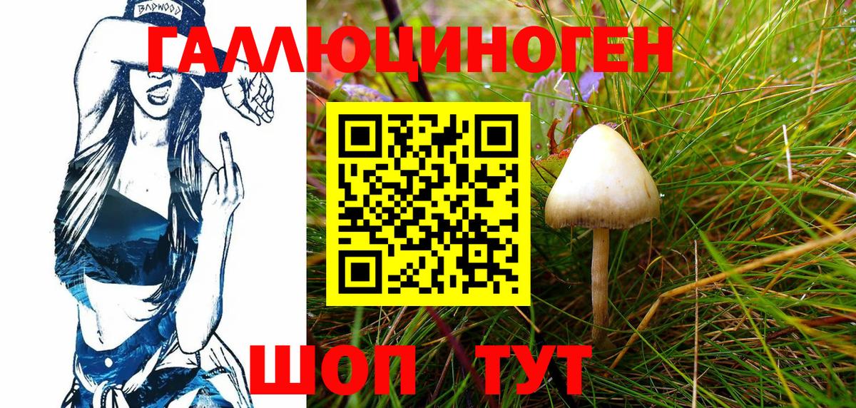 хочу   Псилоцибиновые грибы прущие грибы  Апшеронск  Галлюциногенные грибы GOLDEN TEACHER 