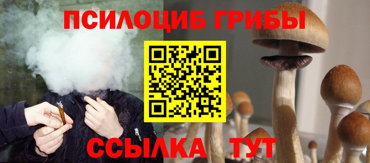 Апшеронск  Галлюциногенные грибы мухоморы  Вход с VPN 